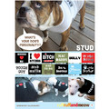 Doggie Sweatshirt - Tough Guy: Dogs Pet Apparel 