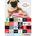 Human Tank - Rock Star: Dogs Products for Humans 