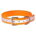Dura-Flect Saftey Collar: Dogs Collars and Leads 